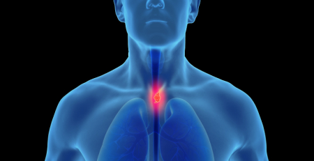 Músculos de deglutição em foco: investigação premiada pela ESSD