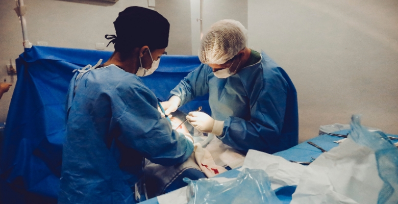 COVID-19: Hospital Garcia de Orta faz acordo com privados para manter cirurgias